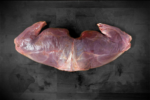 Cuisse de lièvre 