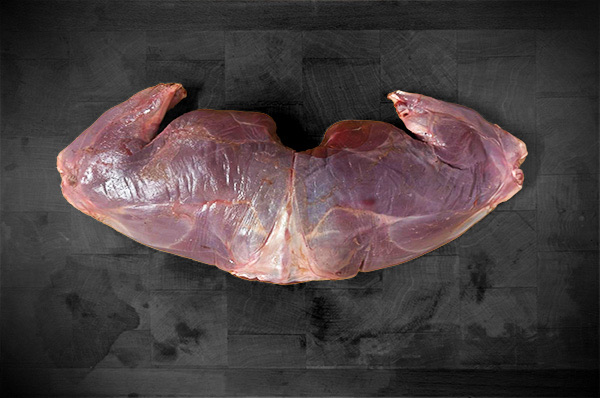 Cuisse de lièvre 
