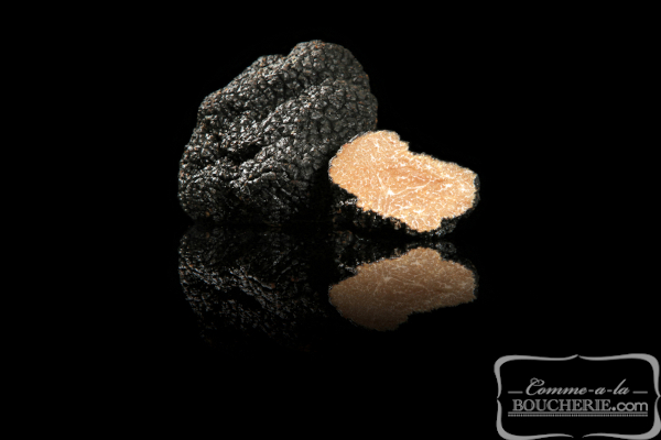 Truffe fraîche (50g minimum)