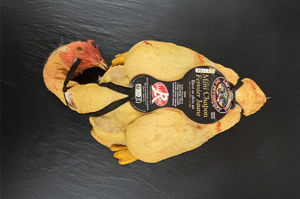 Mini Chapon (prêt à cuire)